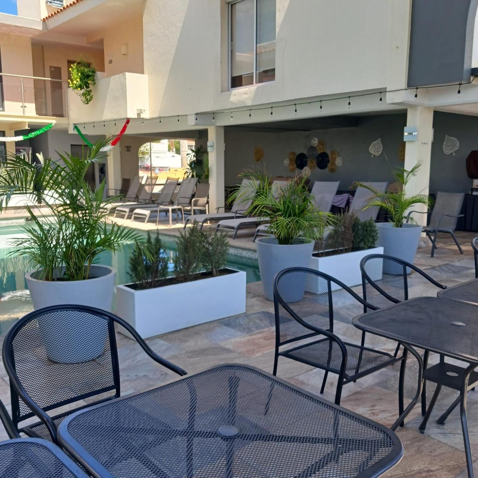 Suites Las Palmas San José del Cabo Екстериор снимка